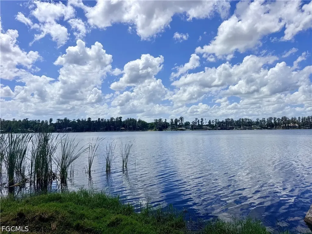14232 Chisholm Lane Odessa FL 33556