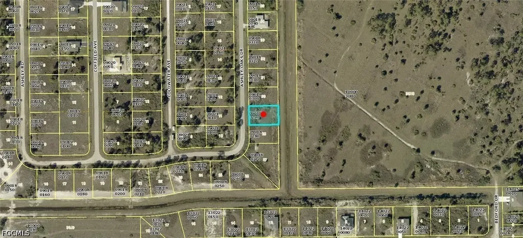 930 Ashley Oaks Drive Lehigh Acres FL 33974