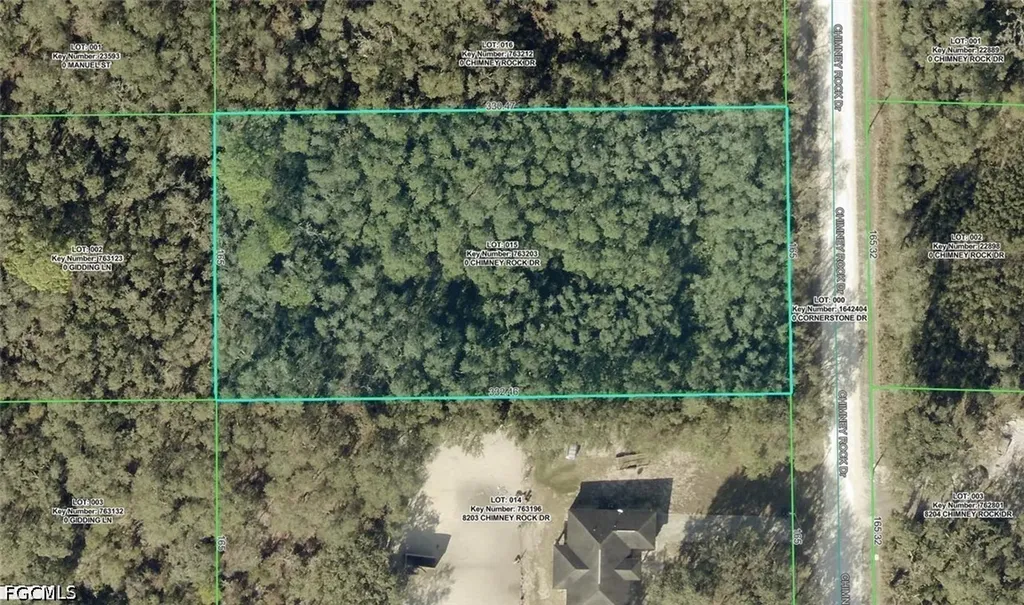 8223 Chimney Rock Drive Webster FL 33597