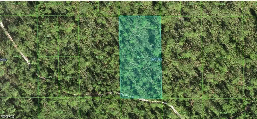 30-31-03-000000-034190 Inaaccesible Track Lake Wales FL 33898