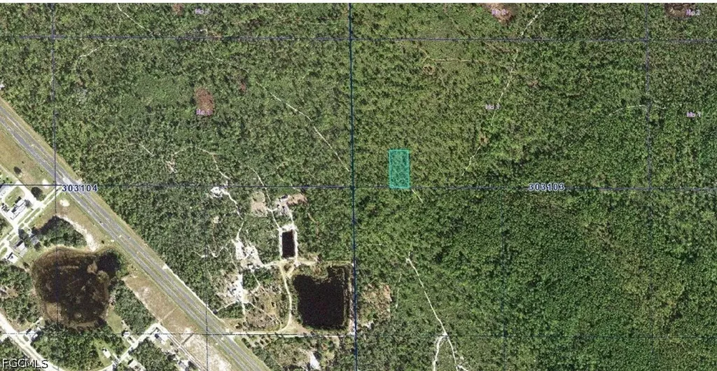 30-31-03-000000-034190 Inaaccesible Track Lake Wales FL 33898