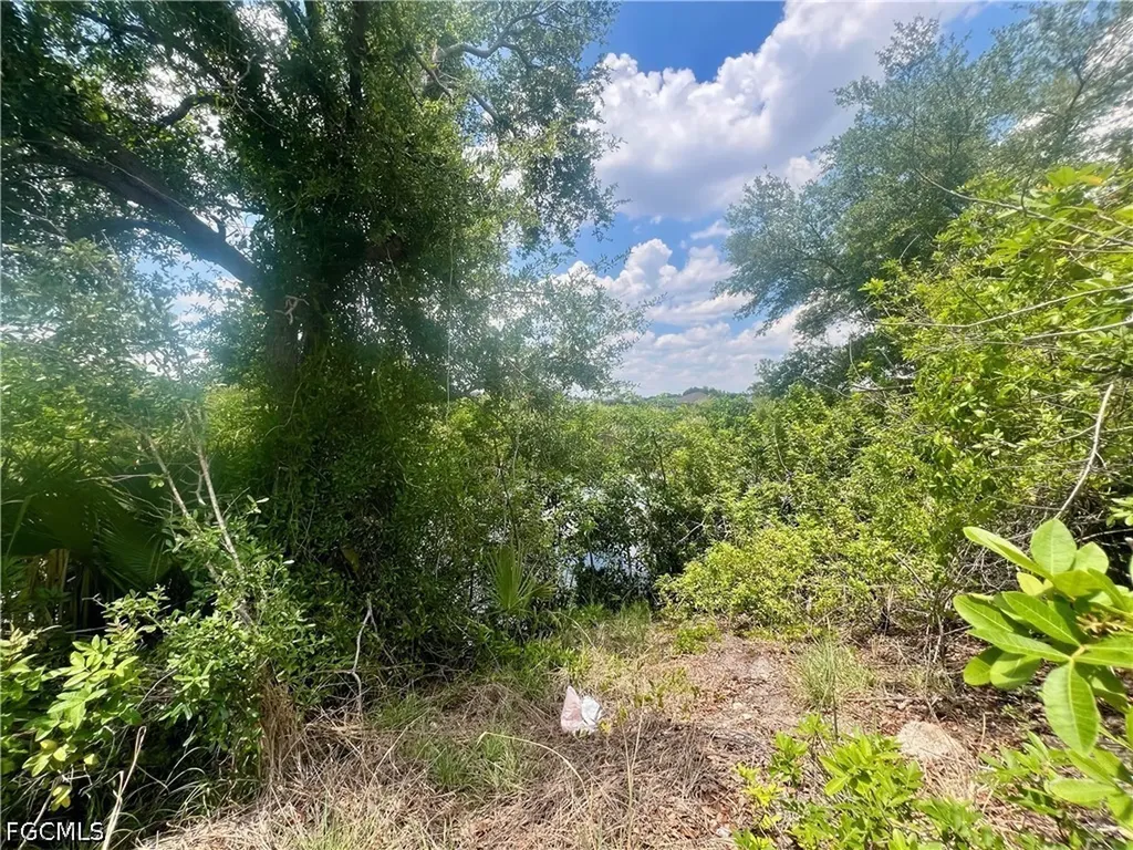 1623 NW 26th Street Cape Coral FL 33993