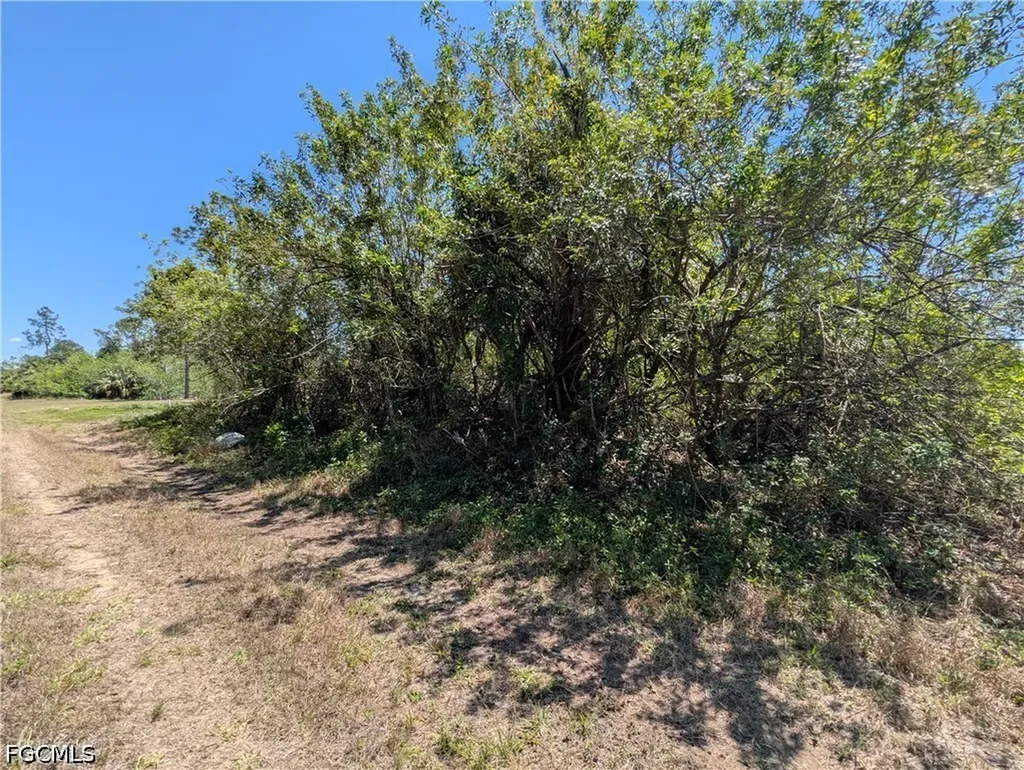 1009 Butler Street E Lehigh Acres FL 33974