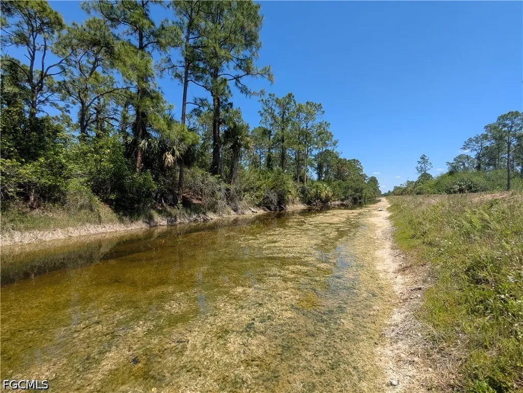 1009 Butler Street E Lehigh Acres FL 33974
