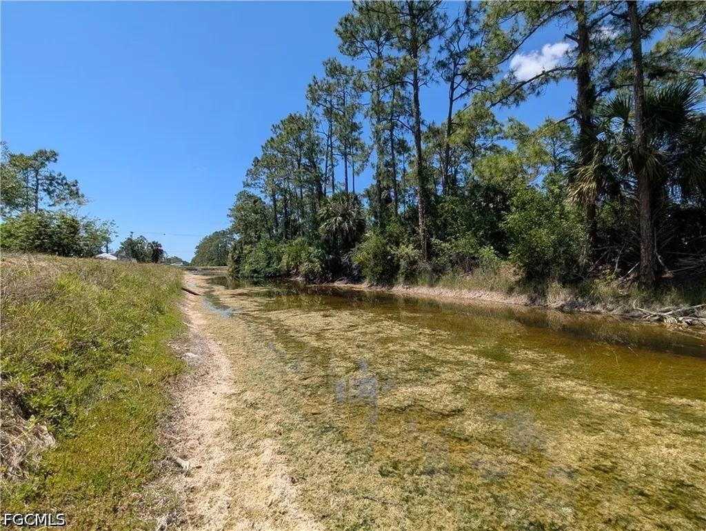 1009 Butler Street E Lehigh Acres FL 33974