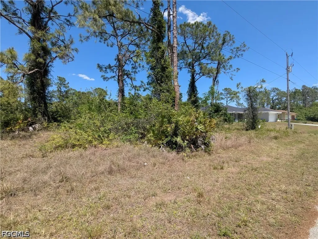 1009 Butler Street E Lehigh Acres FL 33974