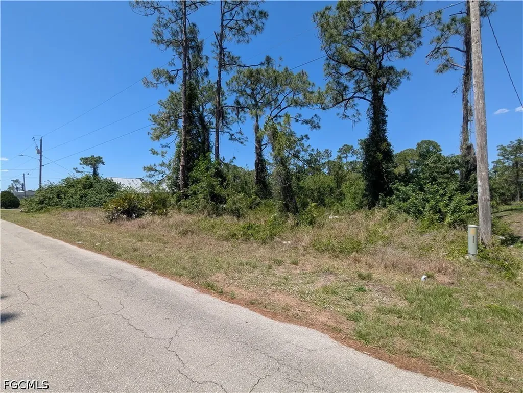 1009 Butler Street E Lehigh Acres FL 33974