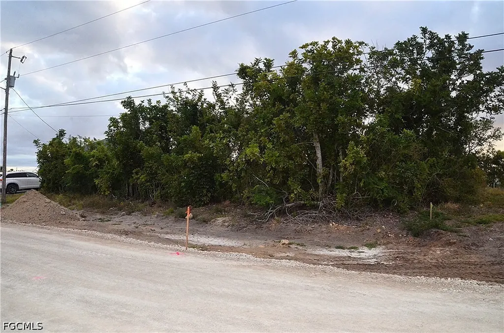 1217 NE 13th Place Cape Coral FL 33909