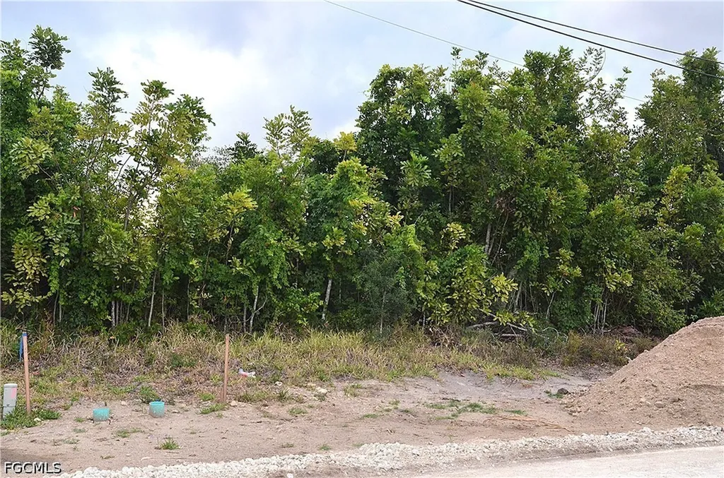 1217 NE 13th Place Cape Coral FL 33909