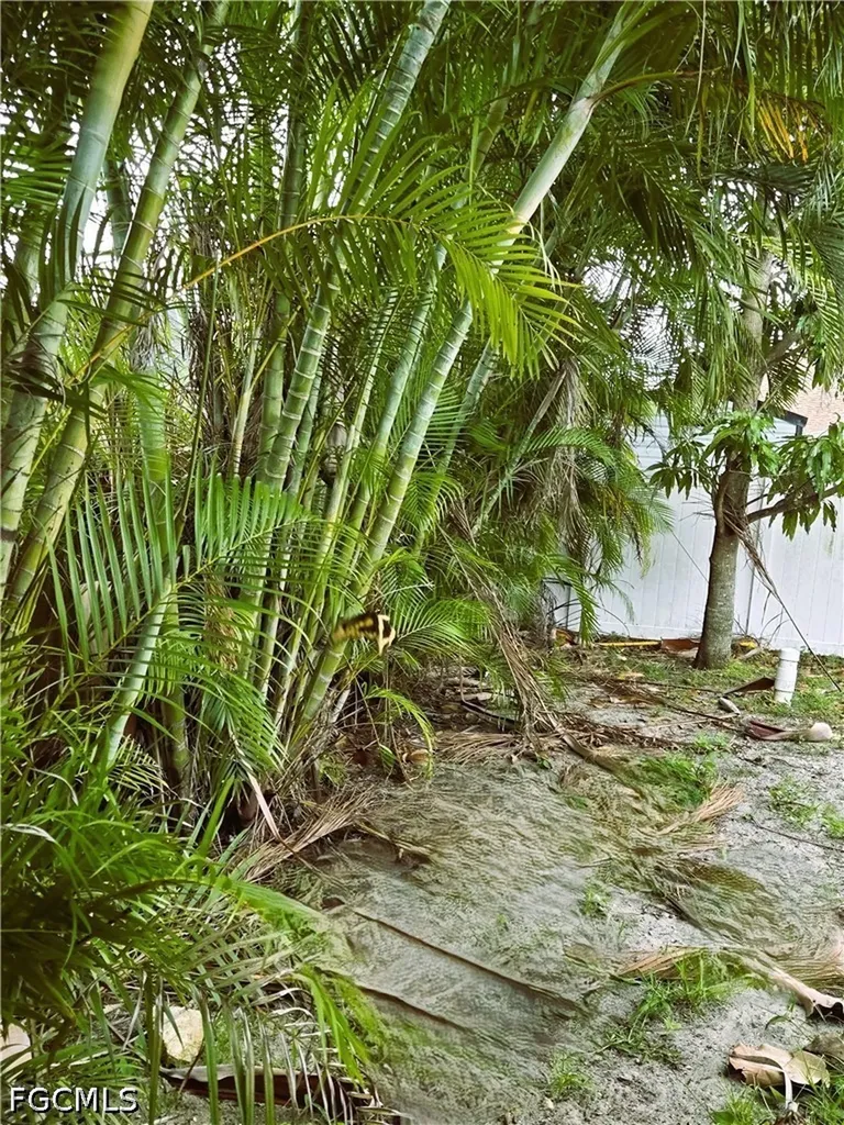 1918 SW 29th Terrace Cape Coral FL 33914