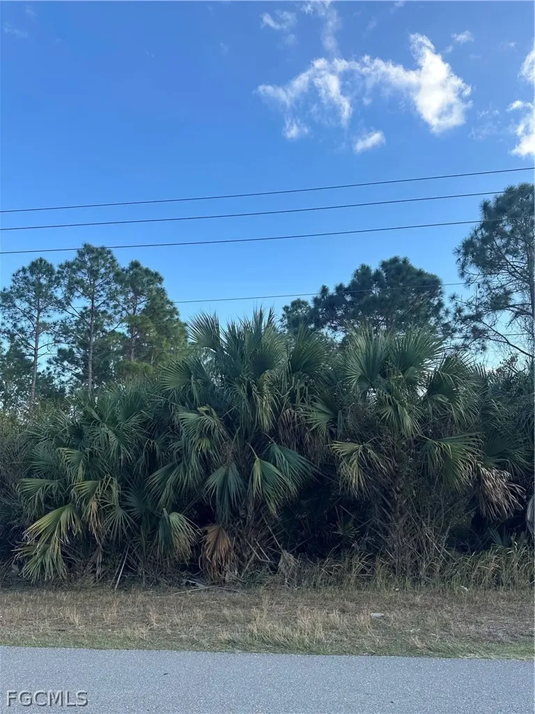 665 Woodcrest Drive Lehigh Acres FL 33972