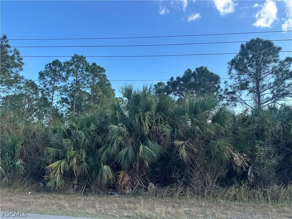 665 Woodcrest Drive Lehigh Acres FL 33972