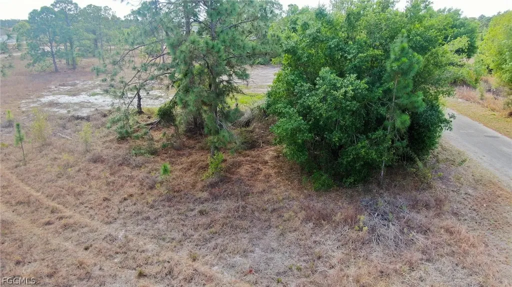 841 Dante Avenue S Lehigh Acres FL 33974