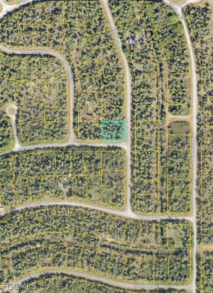 Lot 12 Bigflower Avenue North Port FL 34288