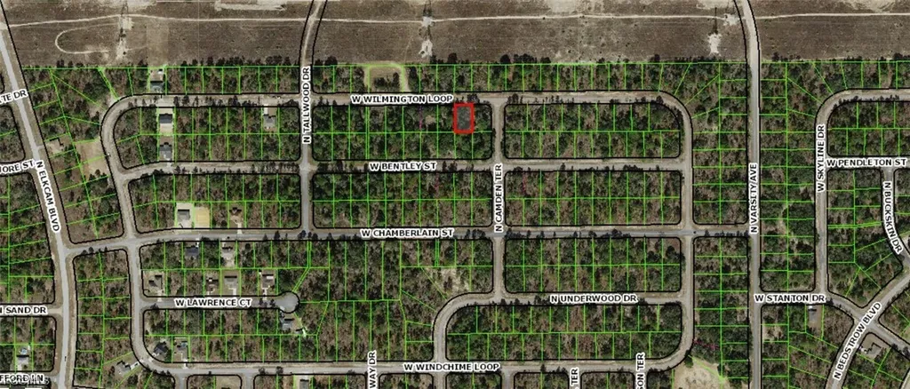 2254 W Wilmington Loop Dunnellon FL 34434