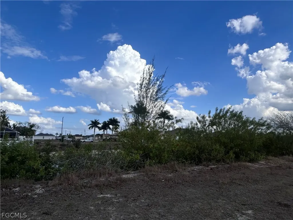 925 NW 3rd Place Cape Coral FL 33993