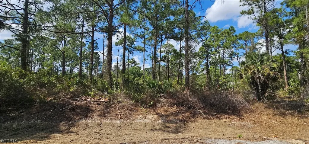 1123 Lincoln Avenue Lehigh Acres FL 33972