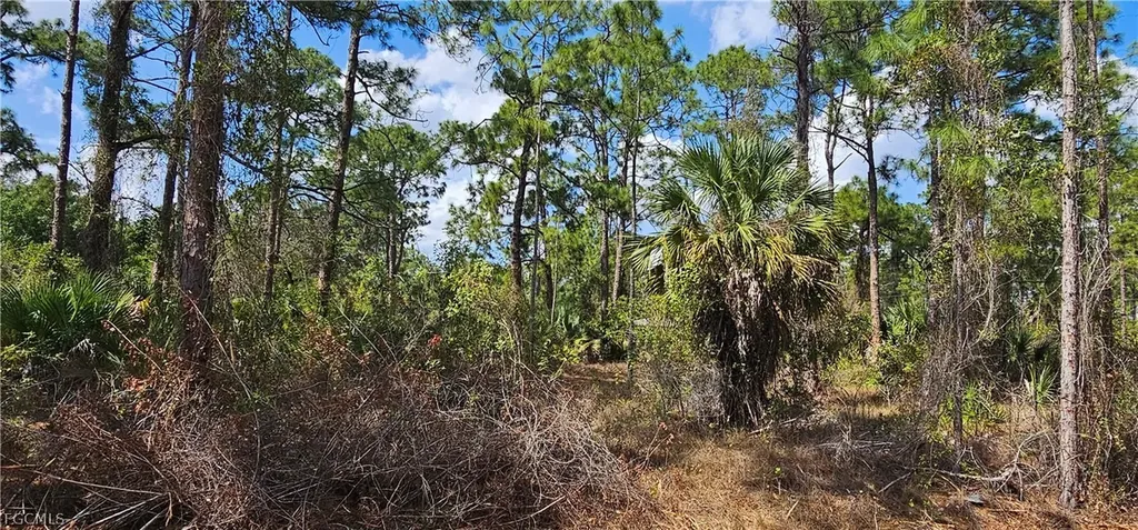 1123 Lincoln Avenue Lehigh Acres FL 33972