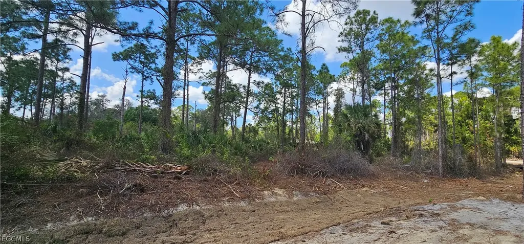 1123 Lincoln Avenue Lehigh Acres FL 33972