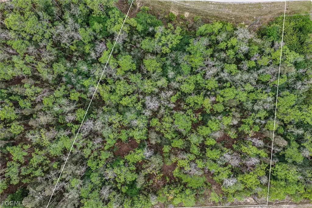1913 Weller Avenue Lehigh Acres FL 33972