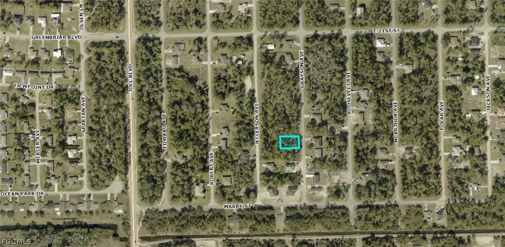 2009 Grayson Avenue Alva FL 33920