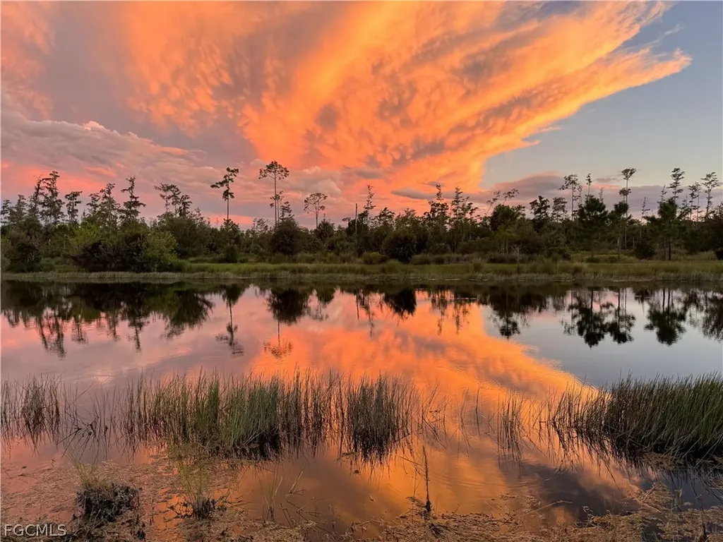 28640 Wharton Drive Bonita Springs FL 34135