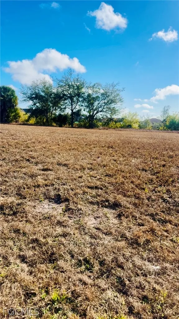 1139 NW 9th Place Cape Coral FL 33993