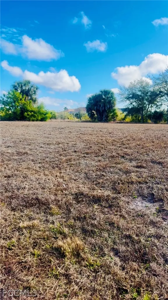 1139 NW 9th Place Cape Coral FL 33993