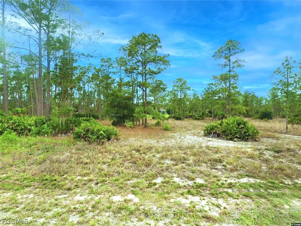 907 Johns Avenue Lehigh Acres FL 33972