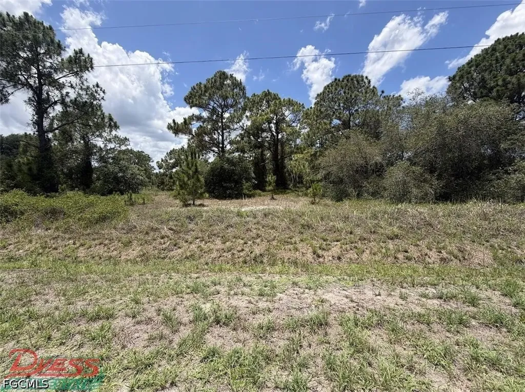760 & (755 N Isora St) N Jinete Street Clewiston FL 33440