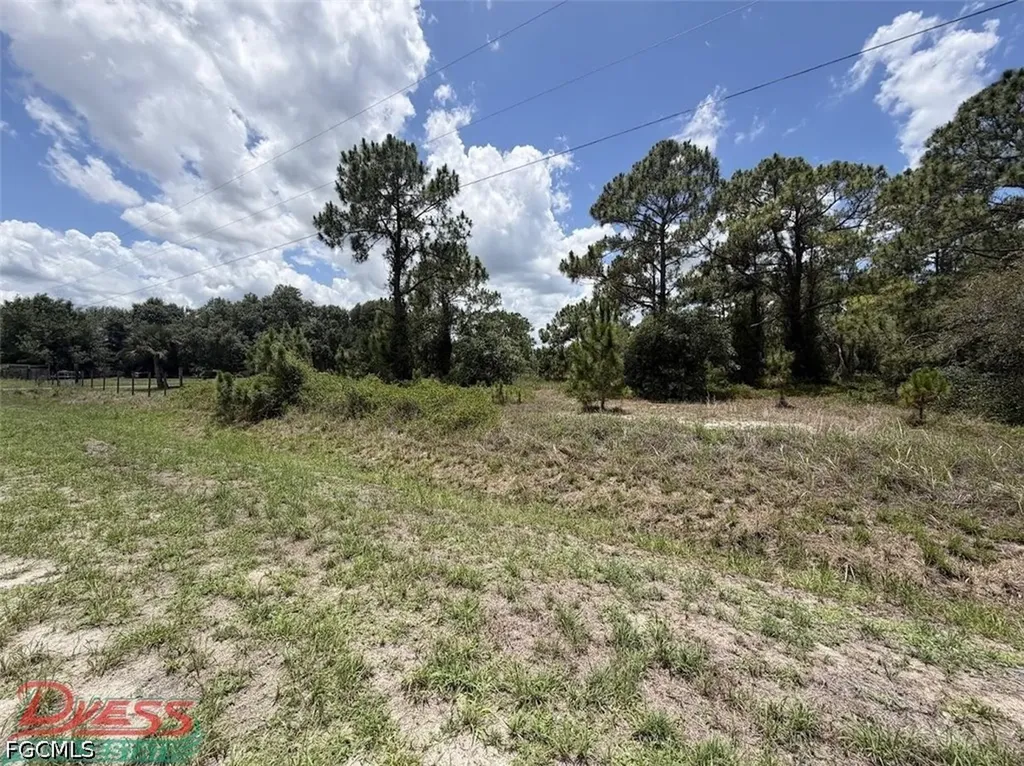 760 & (755 N Isora St) N Jinete Street Clewiston FL 33440