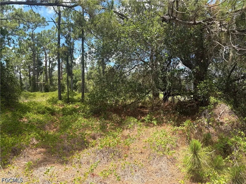 760 & (755 N Isora St) N Jinete Street Clewiston FL 33440
