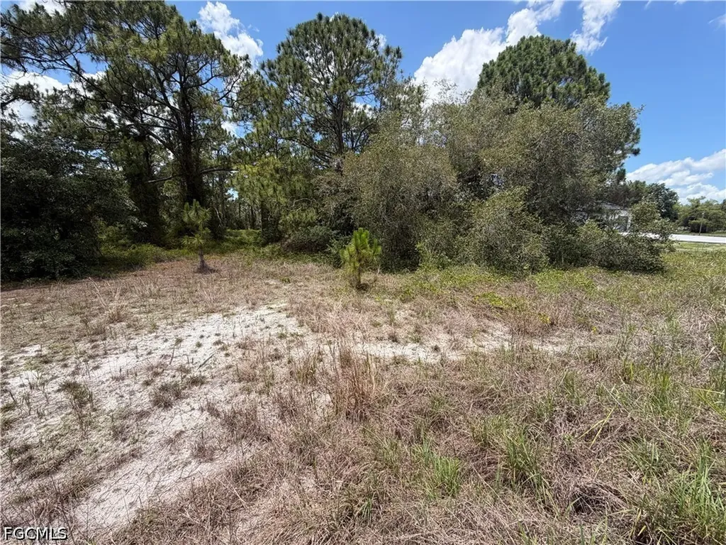 760 & (755 N Isora St) N Jinete Street Clewiston FL 33440
