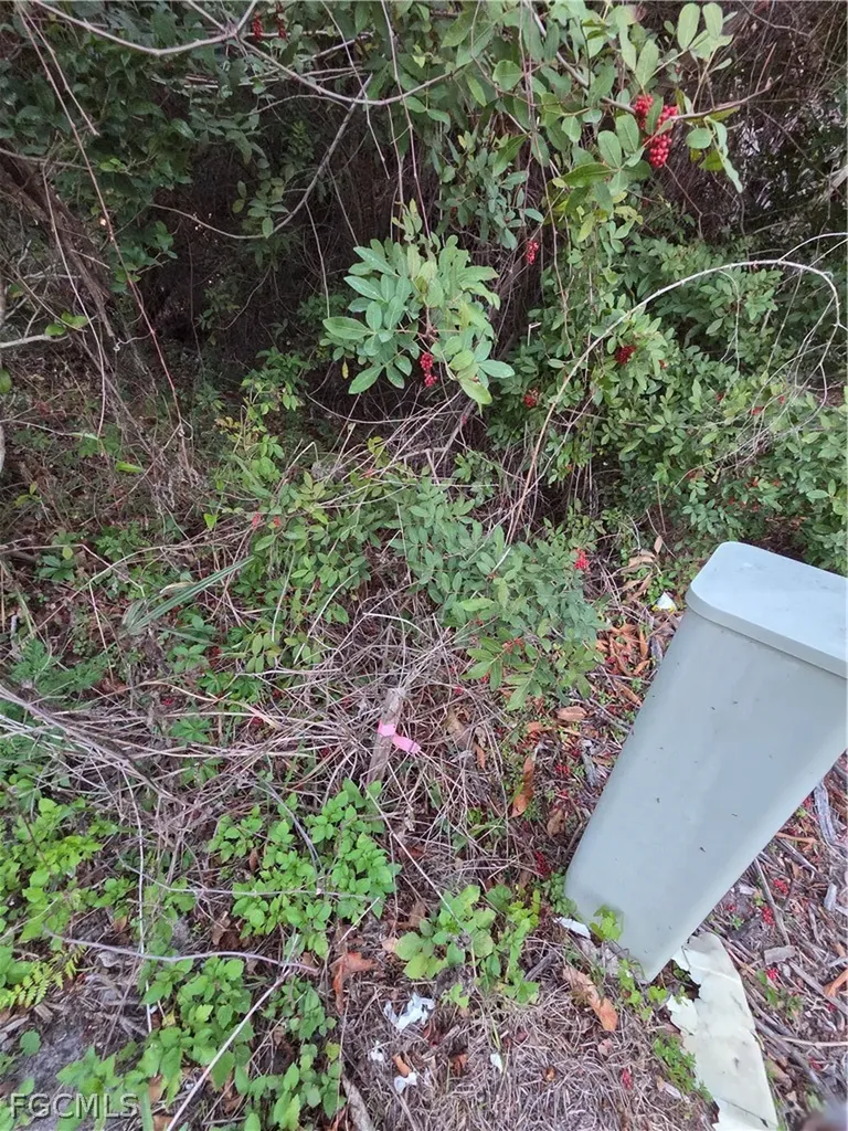 Lehigh Acres FL 33972
