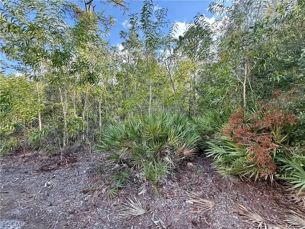7101 Guava Avenue Bokeelia FL 33922