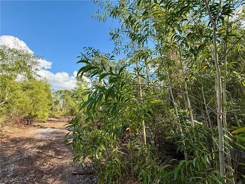 7111 Guava Avenue Bokeelia FL 33922