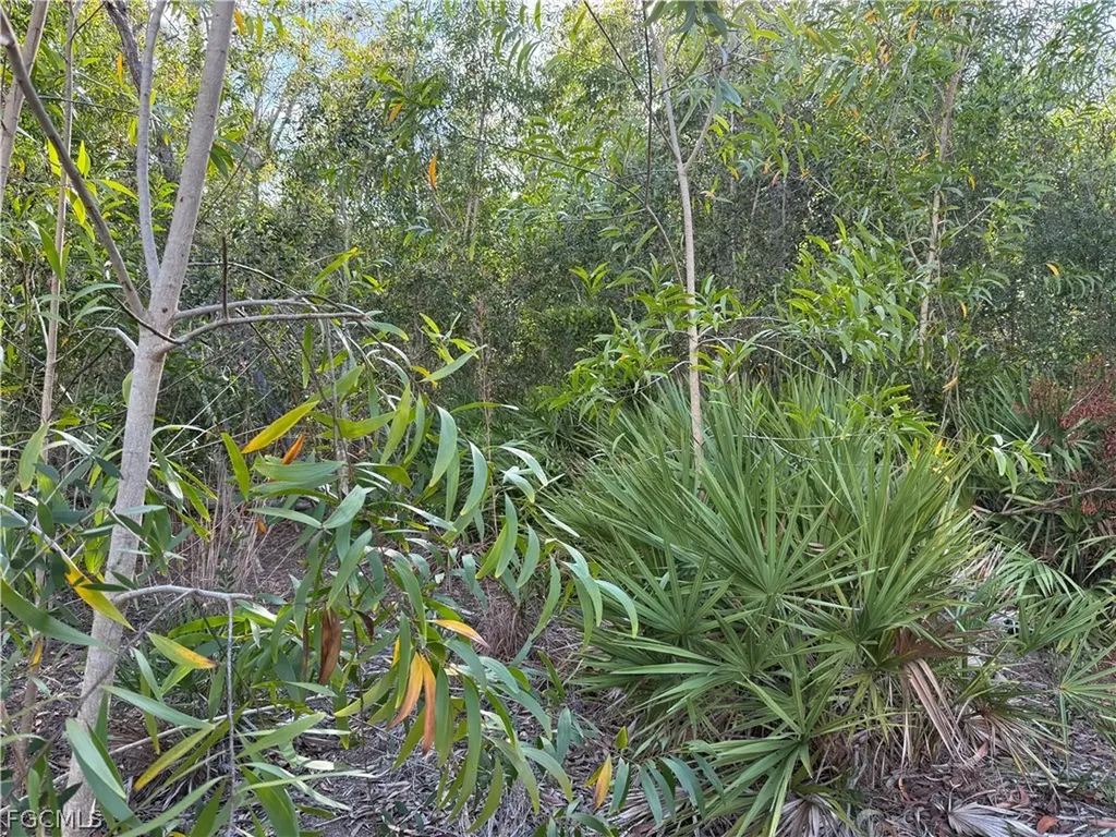 7091 Guava Avenue Bokeelia FL 33922