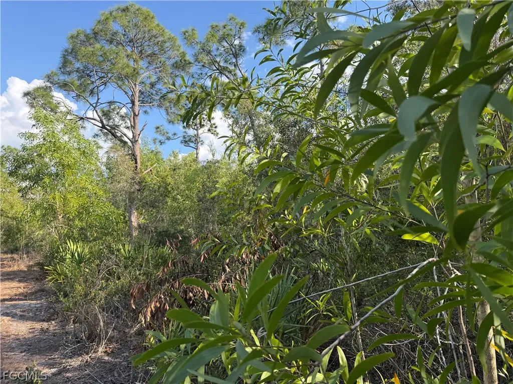 7091 Guava Avenue Bokeelia FL 33922