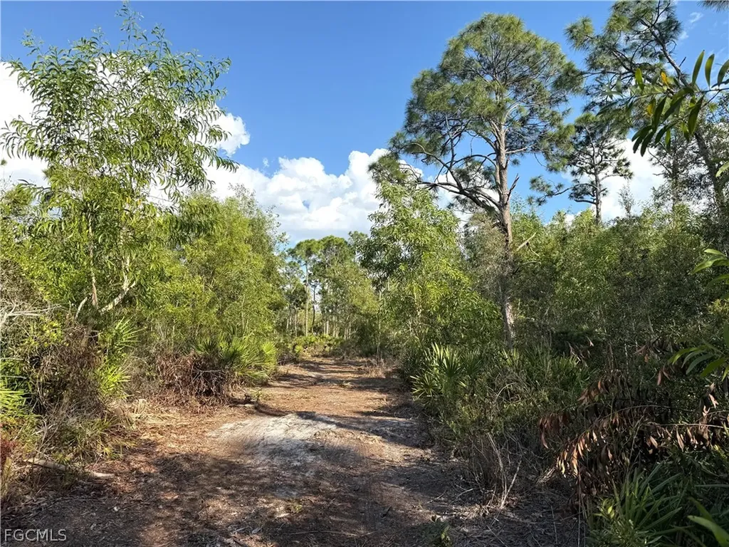 7091 Guava Avenue Bokeelia FL 33922