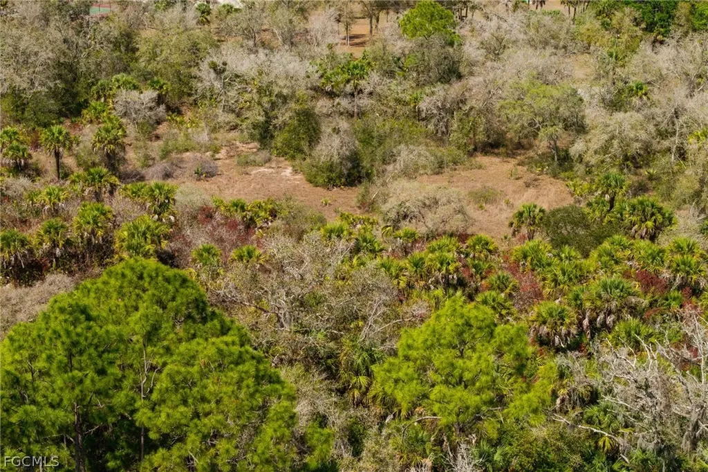 3751 Bateman Road Alva FL 33920