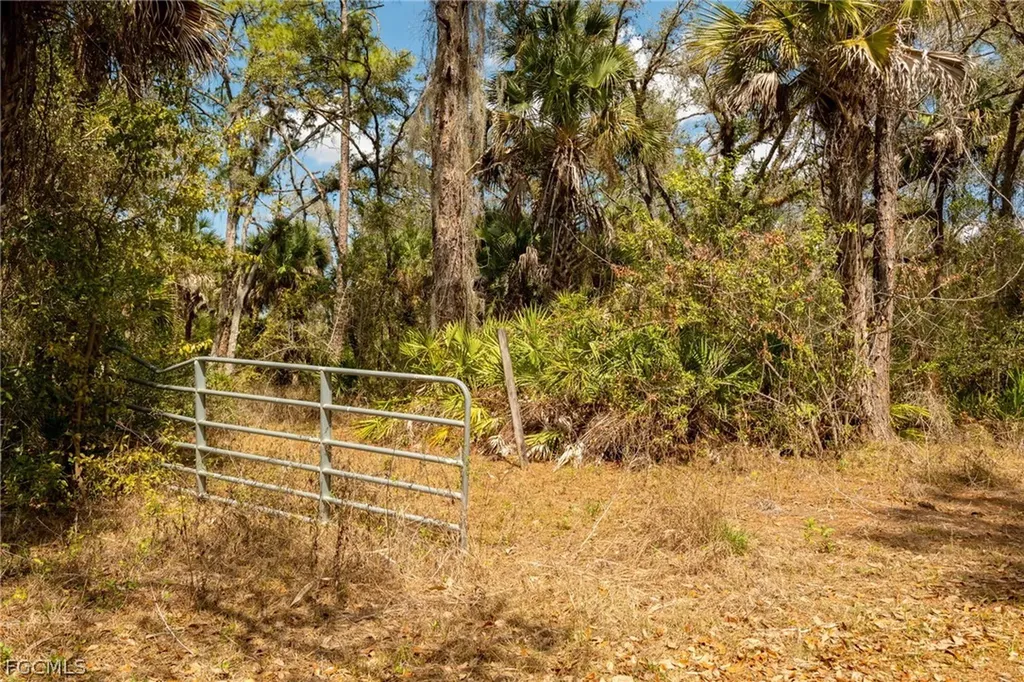 3751 Bateman Road Alva FL 33920