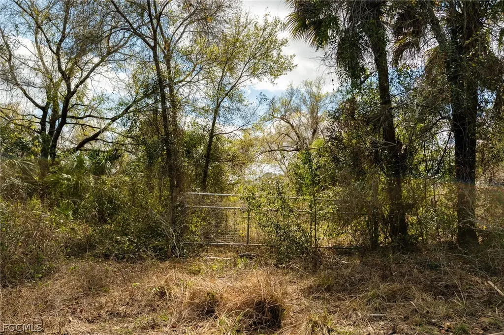 3751 Bateman Road Alva FL 33920