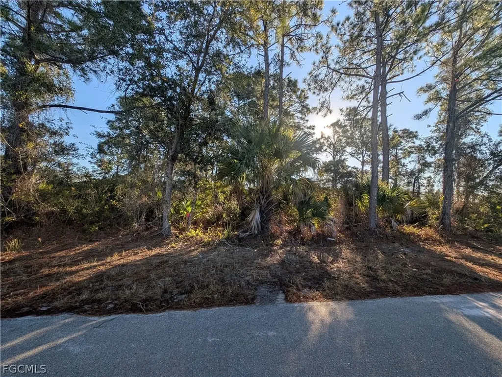 6004 Olive Avenue N Lehigh Acres FL 33971