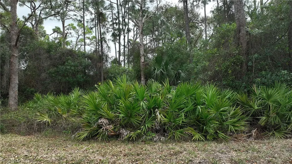 9245 Aegean Circle Lehigh Acres FL 33936