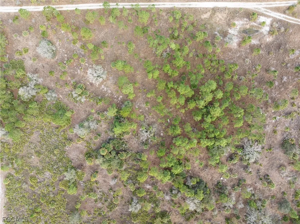 49599 Bermont Road Punta Gorda FL 33982