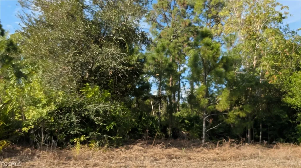 4914 2nd Street W Lehigh Acres FL 33971