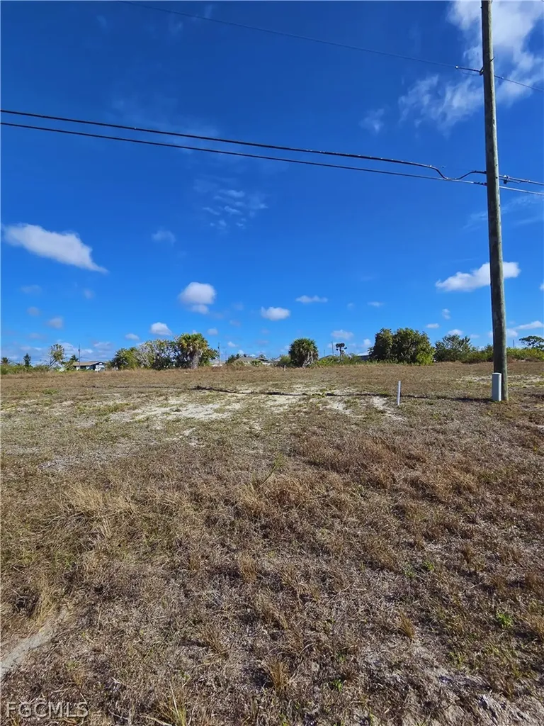 1029 NW 18th Street Cape Coral FL 33993