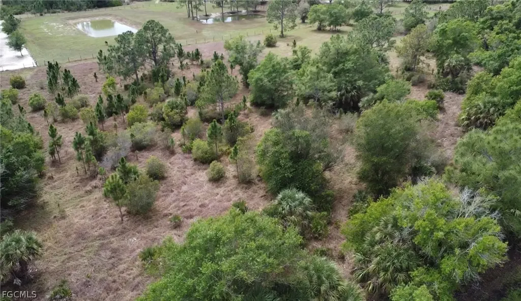 49151 Bermont Road Punta Gorda FL 33982