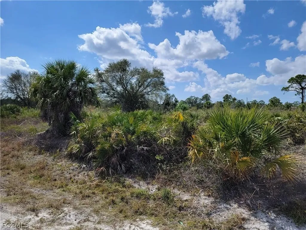 415 Scott Avenue Lehigh Acres FL 33972