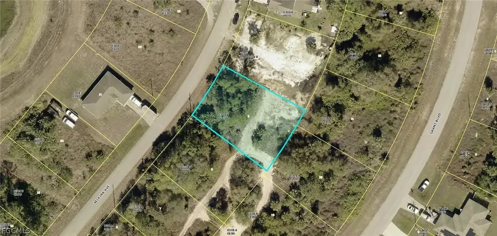 313 Selkirk Avenue Lehigh Acres FL 33974